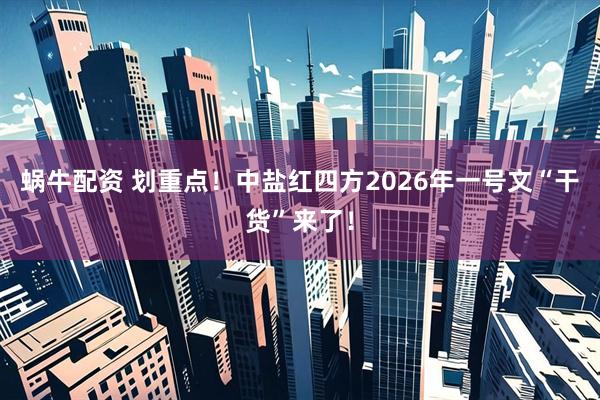 蜗牛配资 划重点！中盐红四方2026年一号文“干货”来了！
