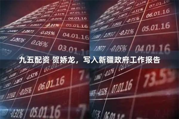 九五配资 贺娇龙，写入新疆政府工作报告